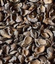 Palm Kernel Shells