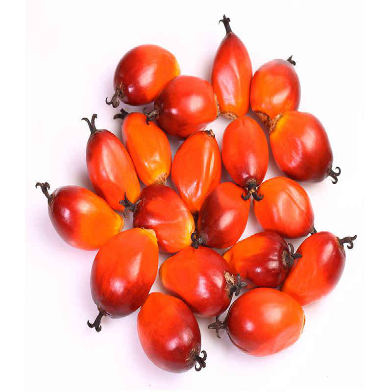 Ekduo Agriculture Processing