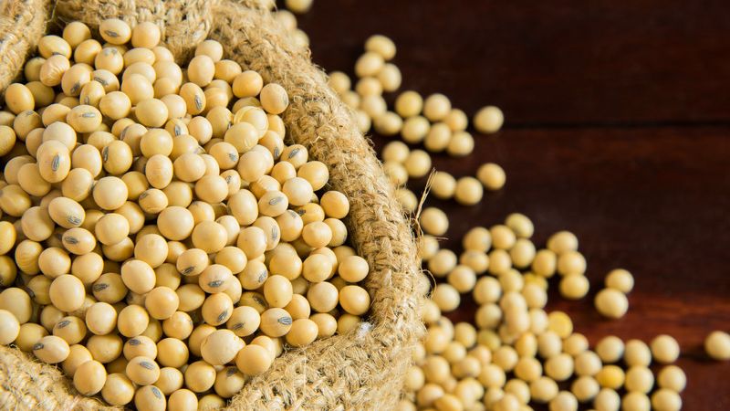 Soybeans